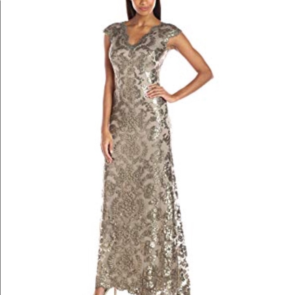 Beautiful tadashi shoji gown